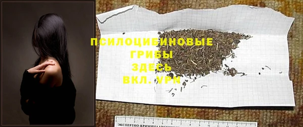 ГАЛЛЮЦИНОГЕННЫЕ ГРИБЫ Абинск