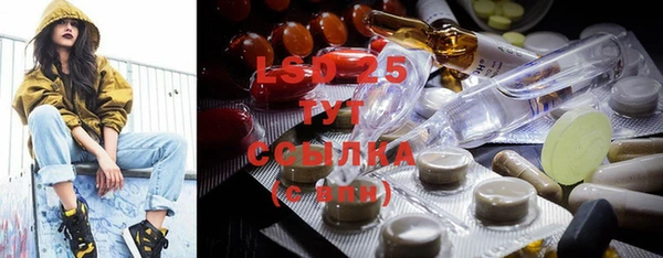 ГАЛЛЮЦИНОГЕННЫЕ ГРИБЫ Абаза