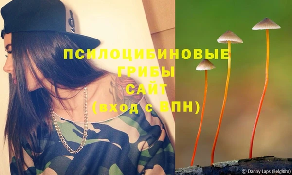 a pvp Алексеевка