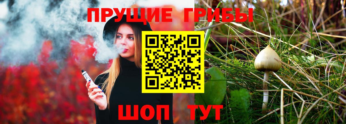 Галлюциногенные грибы Cubensis Тюмень