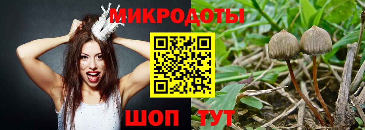 Тюмень  Псилоцибиновые грибы MAGIC MUSHROOMS  Вход с VPN  Галлюциногенные грибы мицелий 